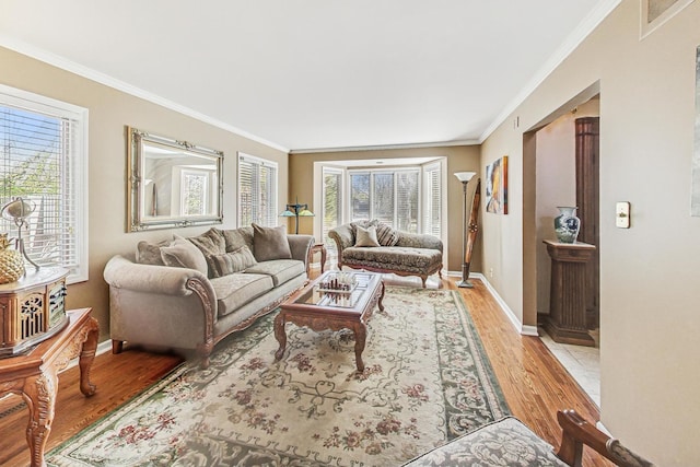 living room featuring light hardwood / wood-style floors and ornamental molding