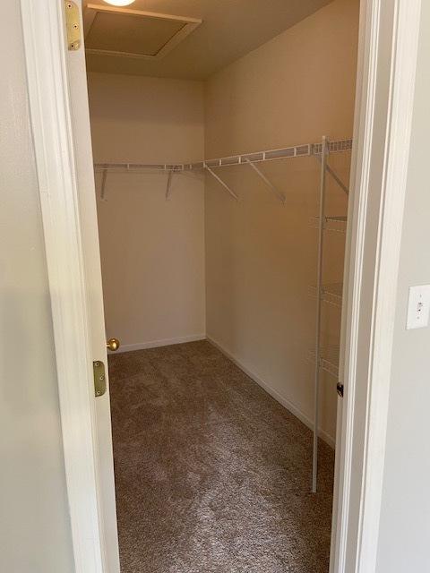 walk in closet featuring carpet