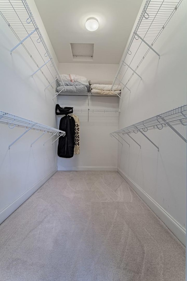 walk in closet with light colored carpet