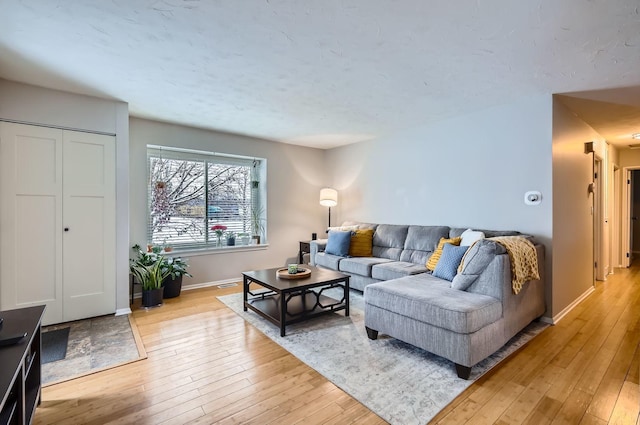 living room featuring light hardwood / wood-style floors