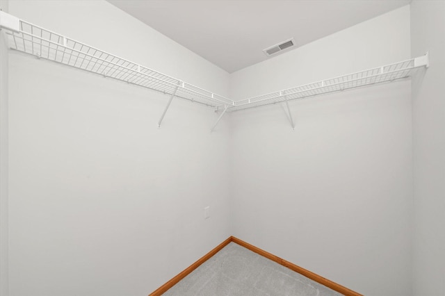 spacious closet featuring carpet