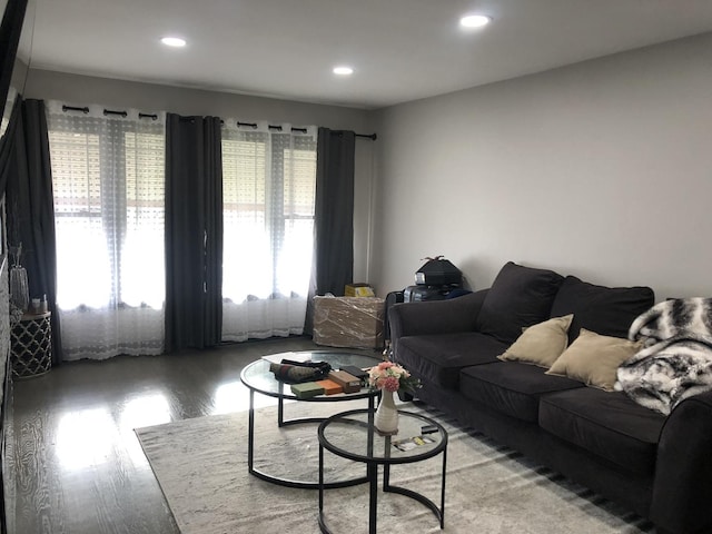 living room with hardwood / wood-style flooring