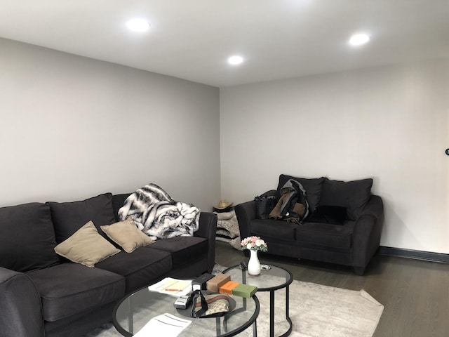 living room featuring wood-type flooring