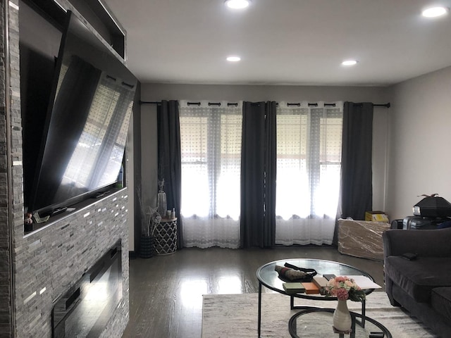 living room with wood-type flooring