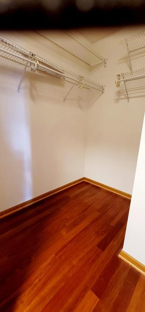 walk in closet featuring wood-type flooring