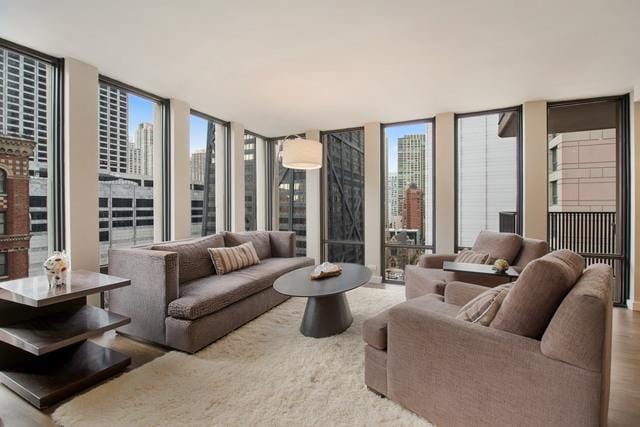 living room featuring floor to ceiling windows and wood-type flooring