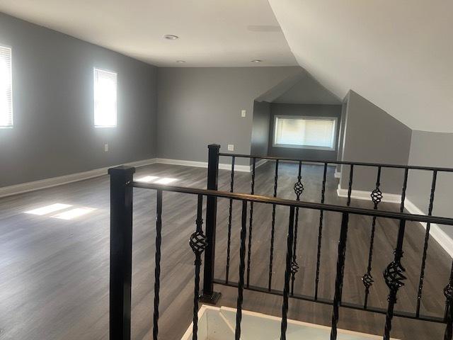 additional living space featuring wood-type flooring and lofted ceiling