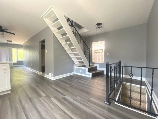 stairway featuring ceiling fan and hardwood / wood-style flooring