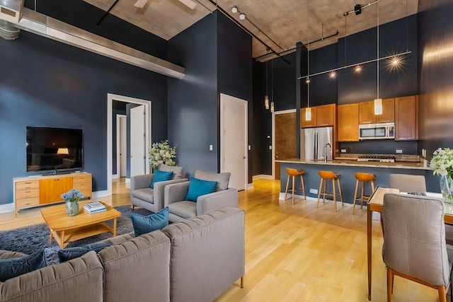 living room featuring light hardwood / wood-style floors and a towering ceiling