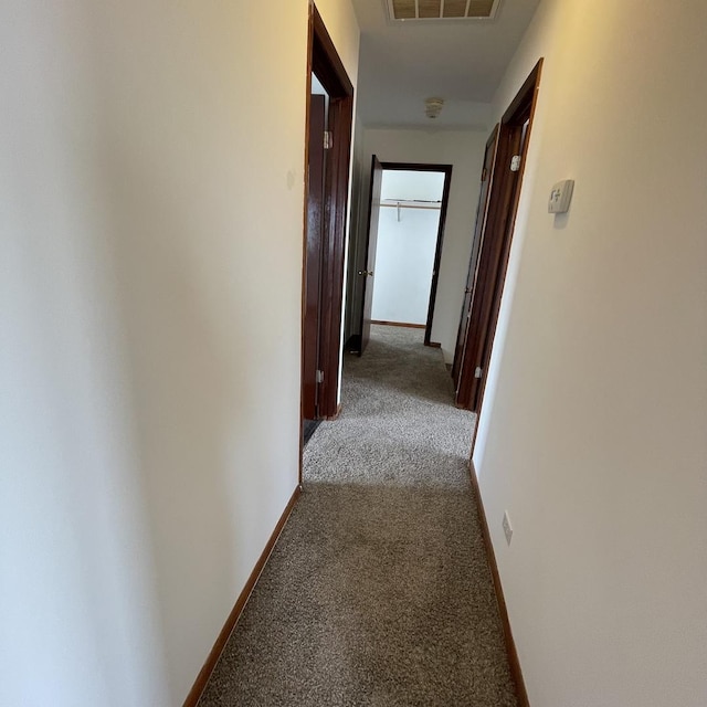 hallway with carpet