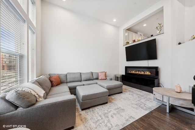 living room featuring hardwood / wood-style flooring