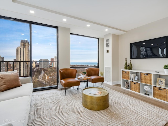 living room featuring light hardwood / wood-style floors, a wall of windows, and a wealth of natural light