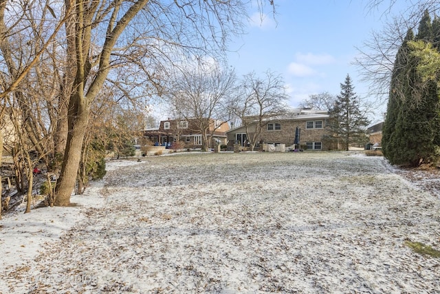 view of snowy yard