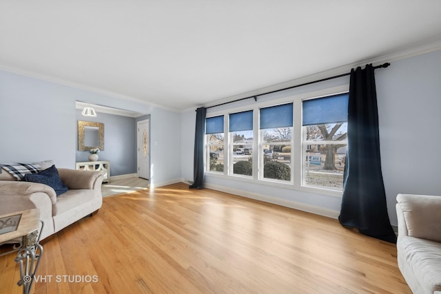 living room featuring light wood-type flooring and crown molding