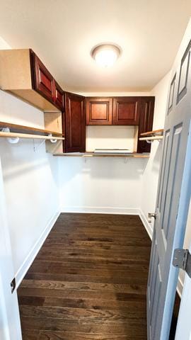 spacious closet with dark hardwood / wood-style flooring