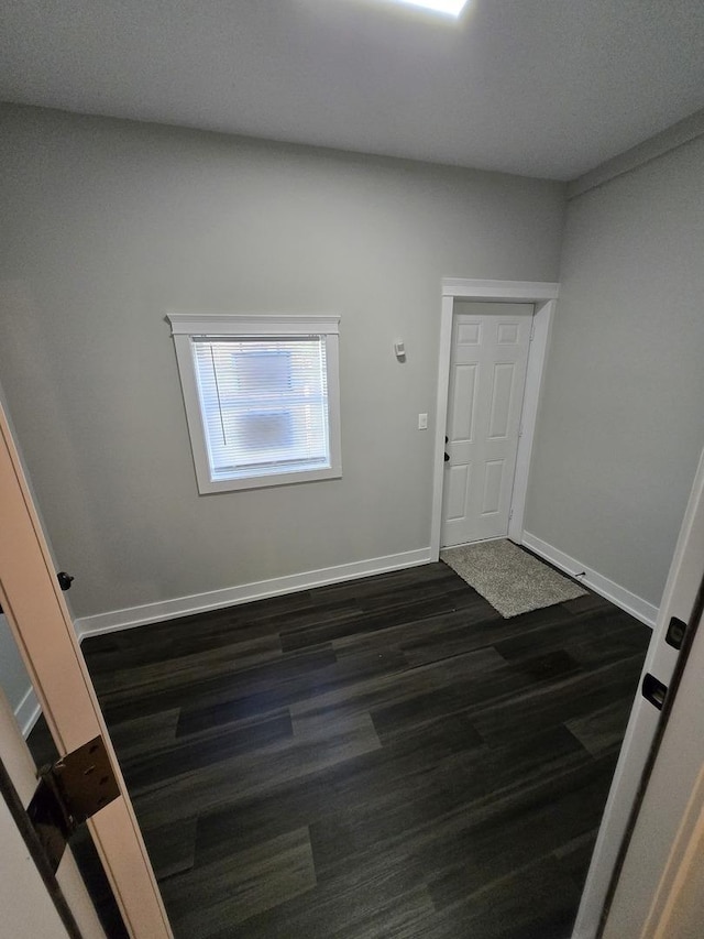 foyer featuring dark wood-type flooring