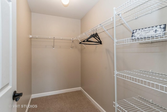 spacious closet with carpet floors