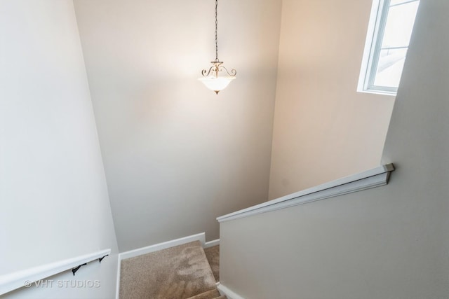 stairway with carpet floors