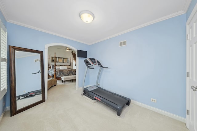 workout area featuring crown molding and light colored carpet