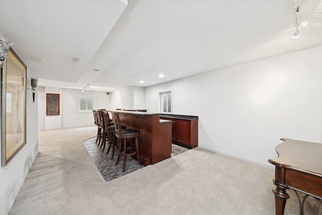 bar featuring light colored carpet and a textured ceiling