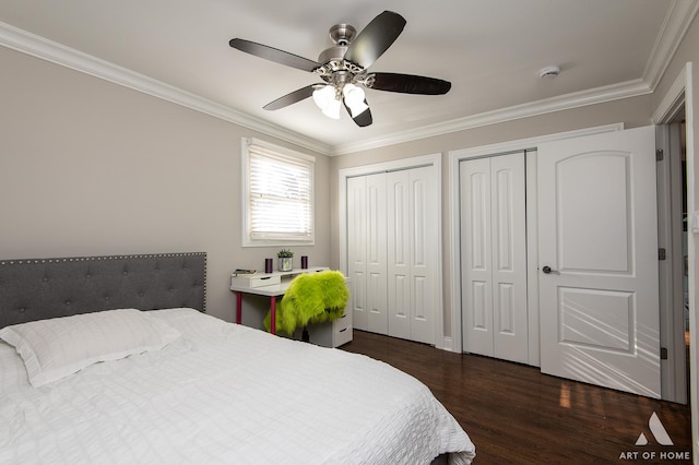 bedroom featuring multiple closets, dark hardwood / wood-style flooring, ceiling fan, and ornamental molding