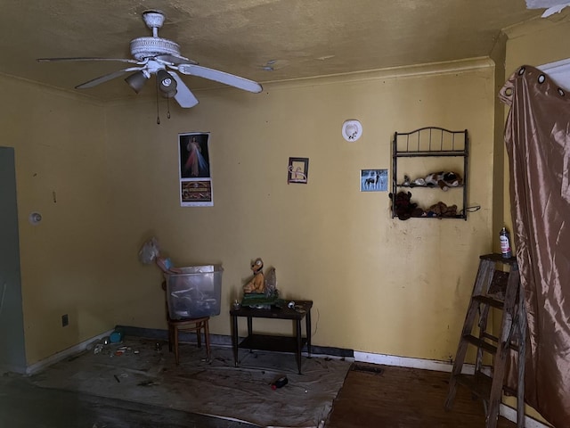 miscellaneous room with ceiling fan