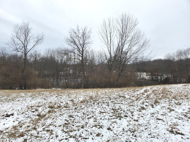 LOT1028 Plum Cir, Varna IL, 61375 land for sale