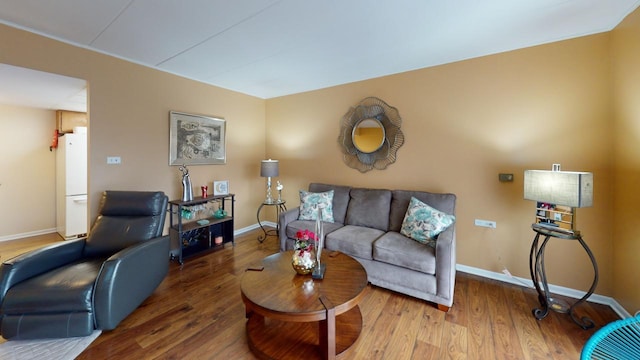 living room with hardwood / wood-style floors