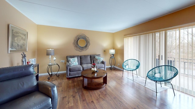 living room with hardwood / wood-style floors