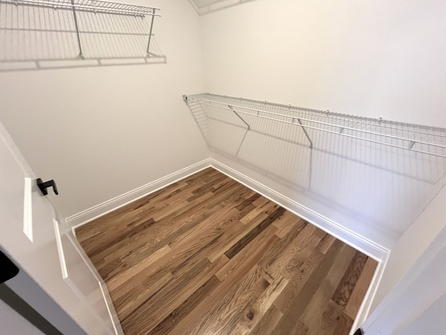 walk in closet featuring hardwood / wood-style flooring