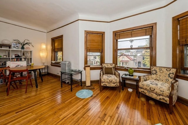 living area featuring hardwood / wood-style floors and radiator