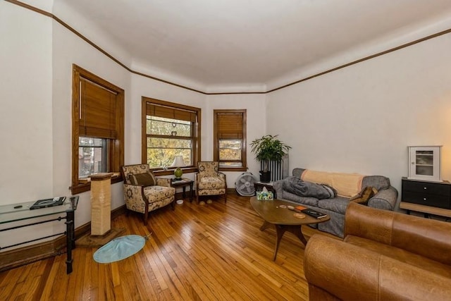 living room with hardwood / wood-style flooring