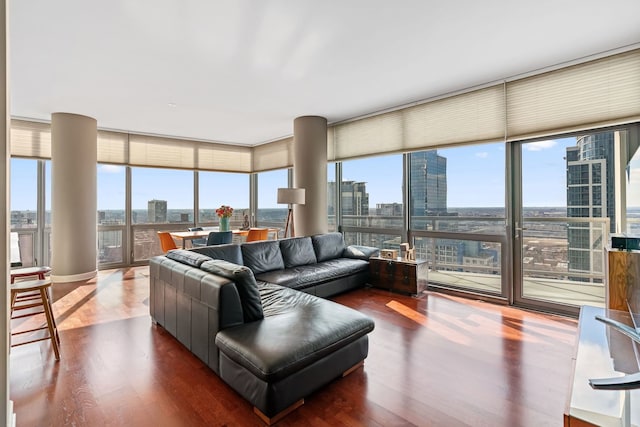 living room featuring expansive windows and dark wood-type flooring