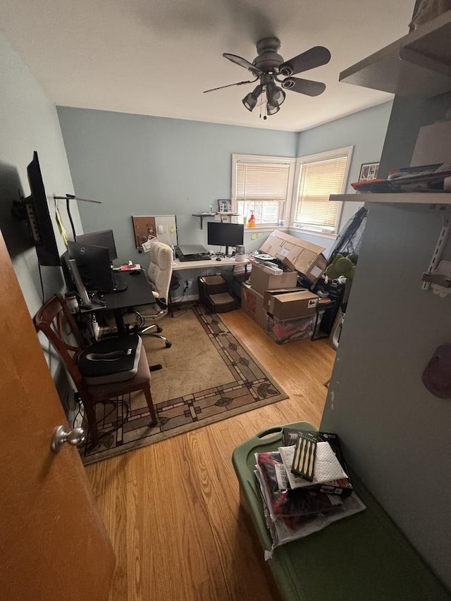 office space featuring ceiling fan and hardwood / wood-style floors