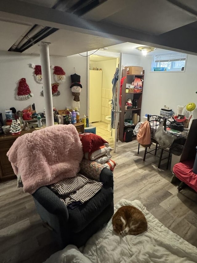 basement featuring hardwood / wood-style flooring