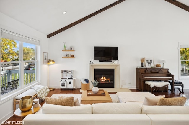 living room featuring plenty of natural light, beam ceiling, and dark wood-type flooring