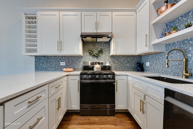 kitchen featuring sink, dishwasher, range with gas cooktop, decorative backsplash, and ventilation hood