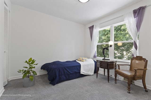 bedroom featuring a closet and carpet floors