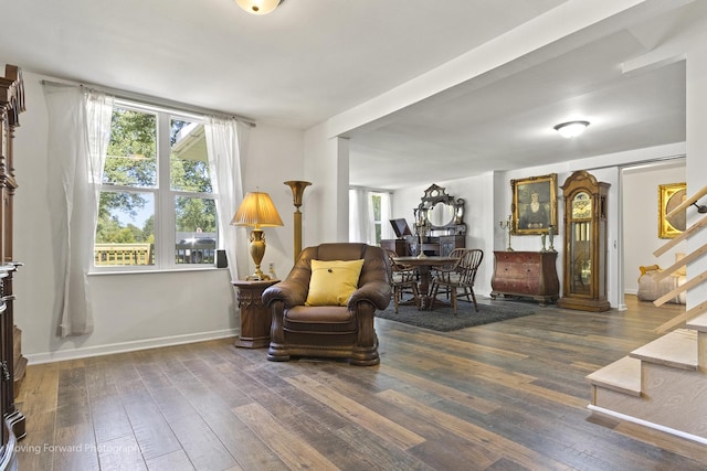 sitting room featuring dark hardwood / wood-style floors