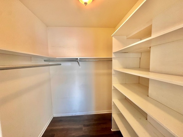 spacious closet featuring dark hardwood / wood-style floors