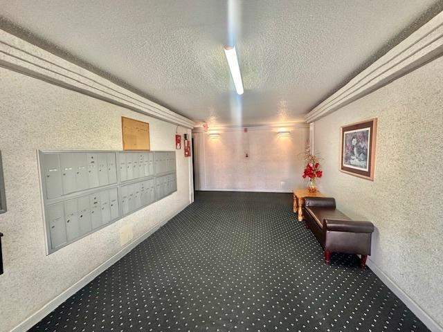 hall featuring a textured ceiling, carpet floors, and a mail area