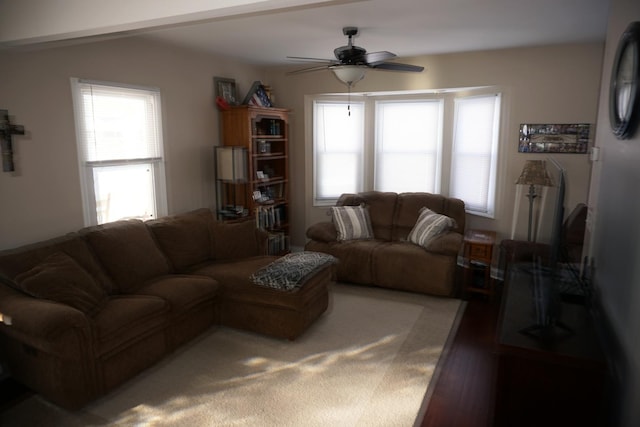 living room featuring a wealth of natural light, dark hardwood / wood-style floors, and ceiling fan