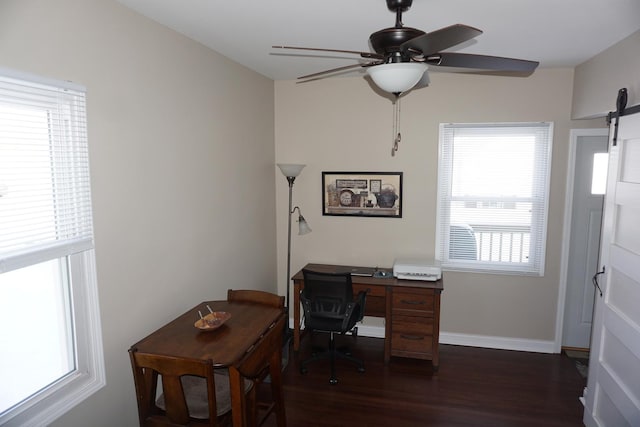 home office featuring dark wood-type flooring, ceiling fan, and a barn door