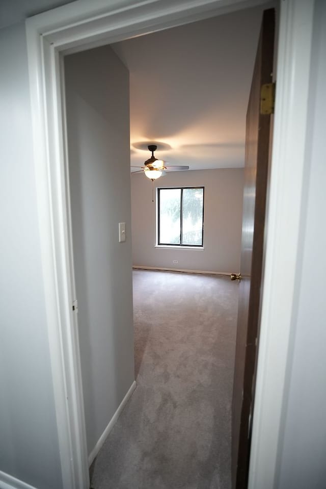 hallway with light carpet