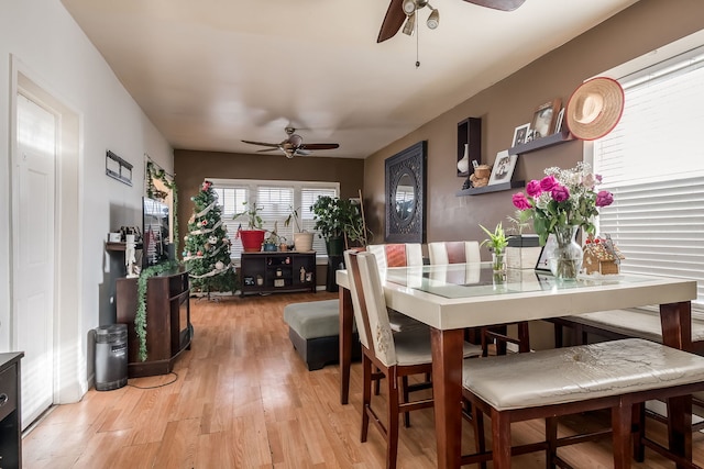 dining area featuring light hardwood / wood-style flooring and ceiling fan