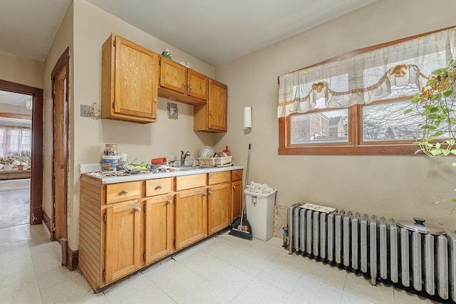 kitchen featuring radiator and sink