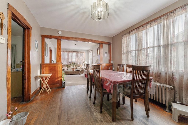 dining area featuring radiator heating unit, hardwood / wood-style floors, and a notable chandelier