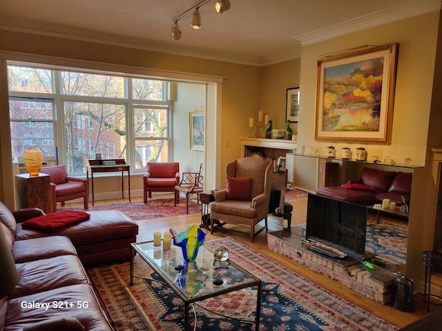 living room featuring a fireplace, hardwood / wood-style flooring, track lighting, and crown molding