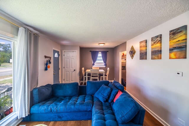 living room featuring hardwood / wood-style floors and a textured ceiling