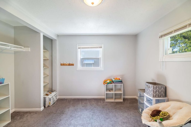 living area with carpet floors